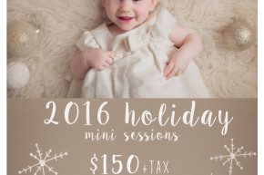 madison wi holiday mini sessions - anna george photography - www.annageorgephoto.com